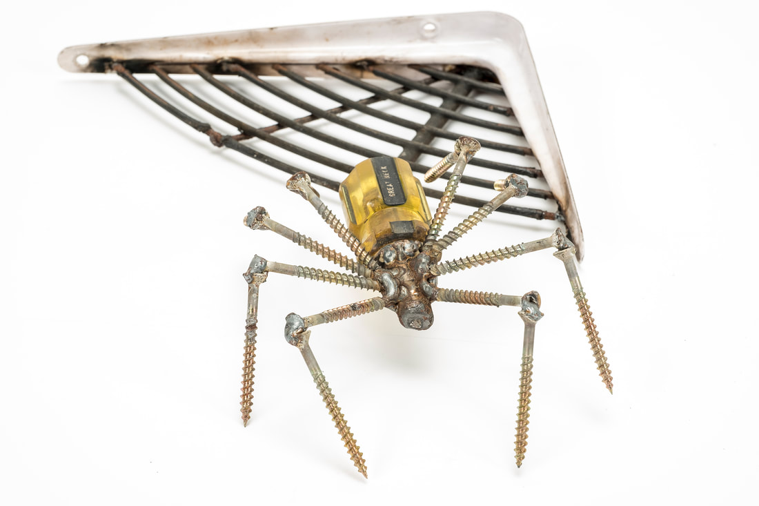 Scrap metal Spider in Web